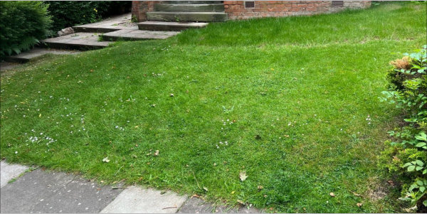 Before 1st Class Paving & Landscaping started work
